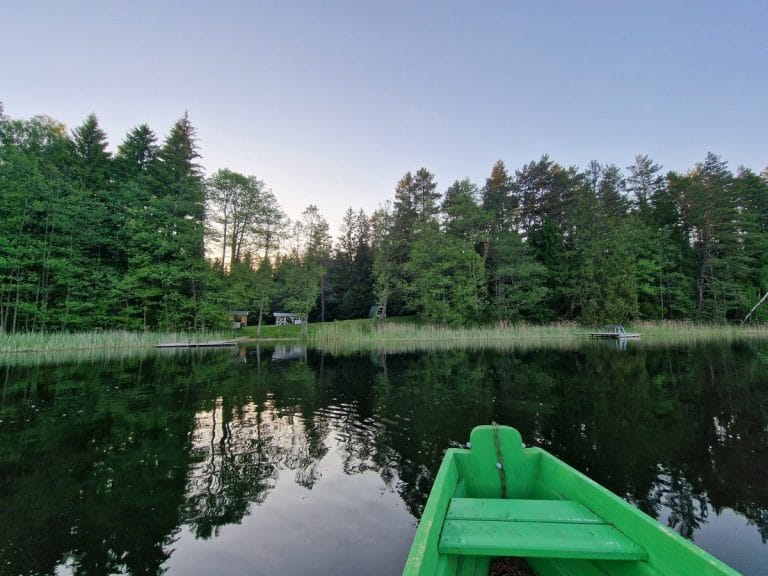Vasaros rytas Miškas Arjola sodyboje