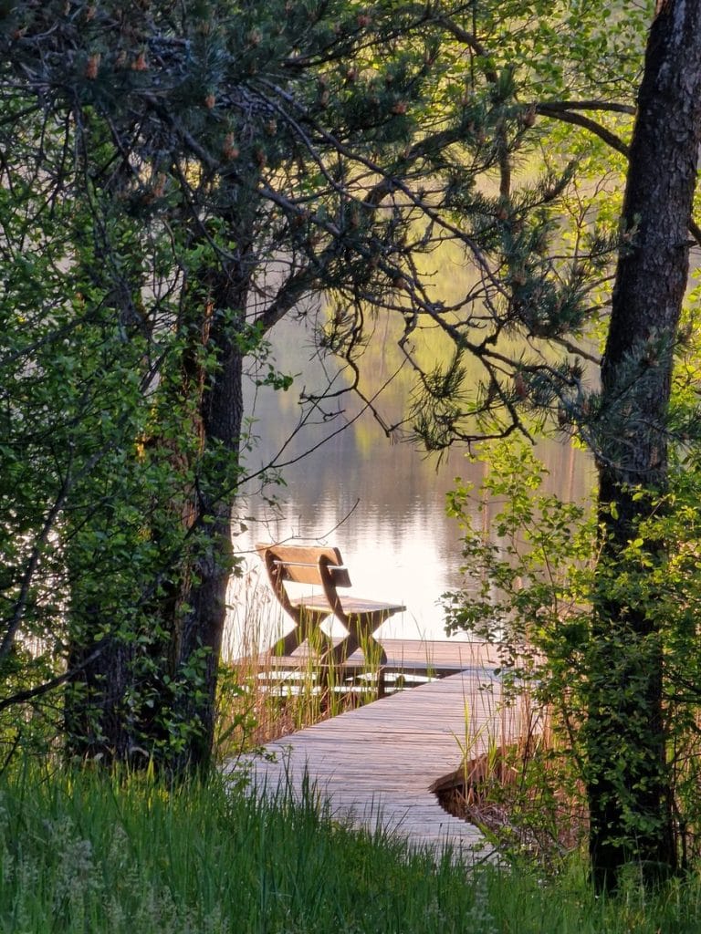 Geras jausmas ant liepto Miške Arjola