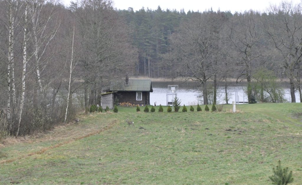 Stirnos mūsų džiaugsmelis