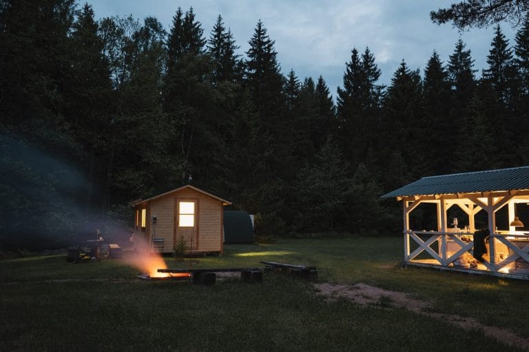 Sodybos teritorija su miško takeliais