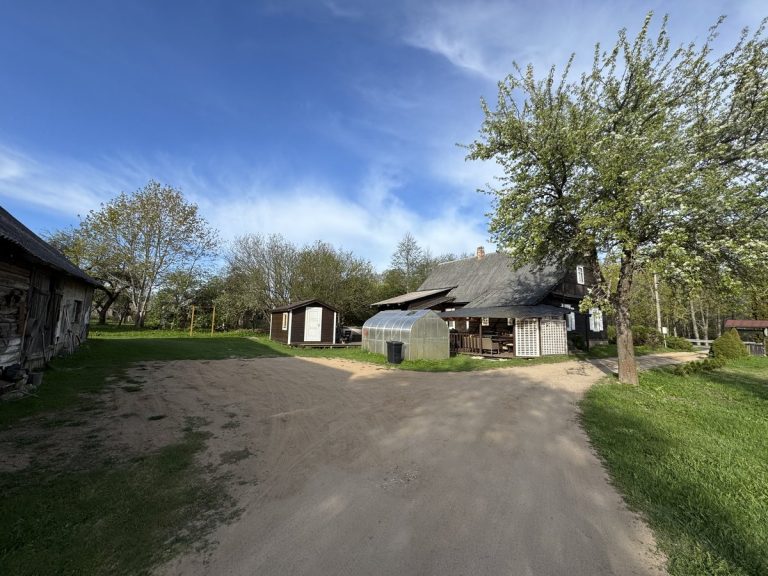 Arjola kriaušės žydėjimas